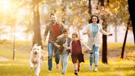 Nuestras relaciones familiares y de pareja son un reflejo de nuestro estado mental. Nuestras relaciones familiares y de pareja son un reflejo de nuestro estado mental.