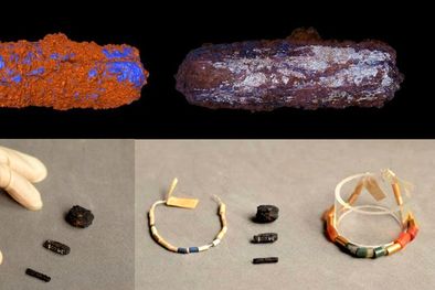 MDZol | Foto: ucl.ac.uk/museums/petrie