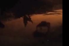 Vecinos aseguran que el lobizón apareció por sus casas durante el Viernes Santo Foto: Captura Video