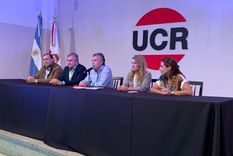 Alfredo Cornejo fue reelegido como presidente de la UCR.