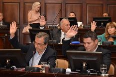 Foto: Prensa Legislatura