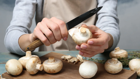 La Dirección de Educación Superior de la DGE aprobó el plan de estudios de la formación en productor de hongos comestibles en Santa Rosa. Los detalles. Foto: Shutterstock. La Dirección de Educación Superior de la DGE aprobó el plan de estudios de la formación en productor de hongos comestibles en Santa Rosa. Los detalles. Foto: Shutterstock.