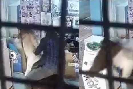 Dos hombres montados a caballo asaltaron un kiosco en Miramar. Dos hombres montados a caballo asaltaron un kiosco en Miramar.