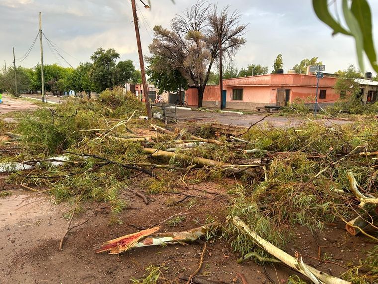 Foto: REdes sociales @Ubietafer