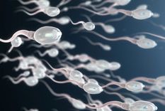 El recuento de espermatozoides está en un preocupante declive, según la científica Shanna Swan. Foto: GETTY IMAGES