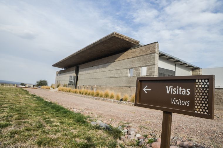 Las bodegas, destino ineludible cuando se visita Mendoza. Foto: Archivo MDZ