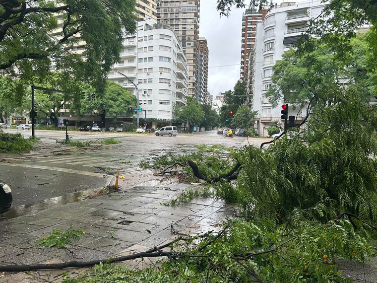 Fuertes destrozos en toda la provincia de Buenos Aires por el temporal. Foto: MDZ