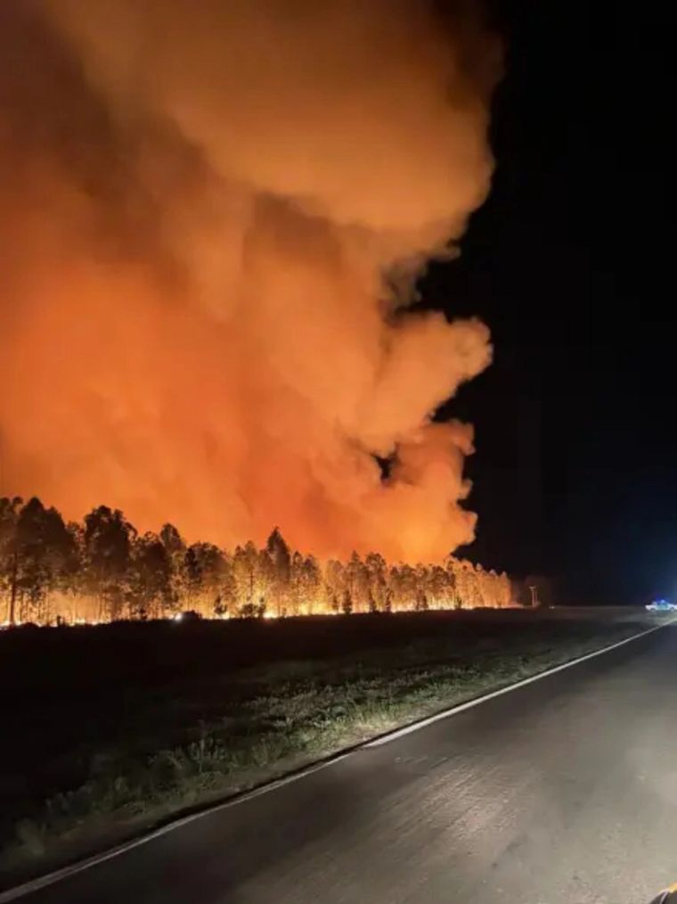 Más de tres mil hectáreas afectadas en el departamento de Ituzaingó Foto: Télam