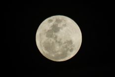 Foto: Santiago Tagua / MDZ