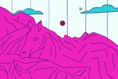 Acertijo visual, reto visual, caballo Acertijo visual, reto visual, caballo