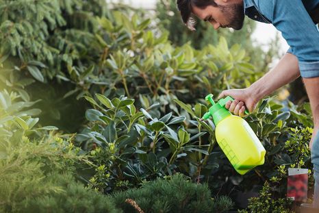 Vinagre para cuidar el jardín. Foto: Bob Vila - https://www.bobvila.com