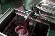 catamarca presento fraccionadora de vino movil