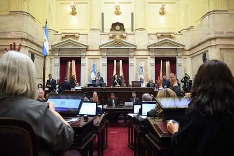 El Senado avanzará esta semana con varios proyectos del desagrado de Milei. El Senado avanzará esta semana con varios proyectos del desagrado de Milei.
