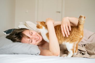 MDZol | Esto es todo lo que saben y cómo lo saben, los gatos sobre sus dueños Foto: Shutterstock