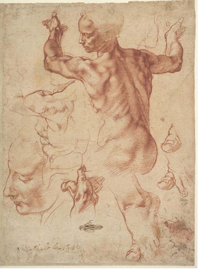 El estudio para la Sibila Libia del Museo de New York. El estudio para la Sibila Libia del Museo de New York.