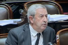 El diputado nacional Julio Cobos.
