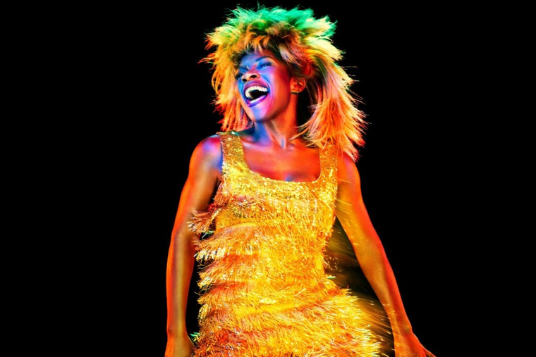 Este fue el gran amor de Tina Turner que intentó salvar su vida.