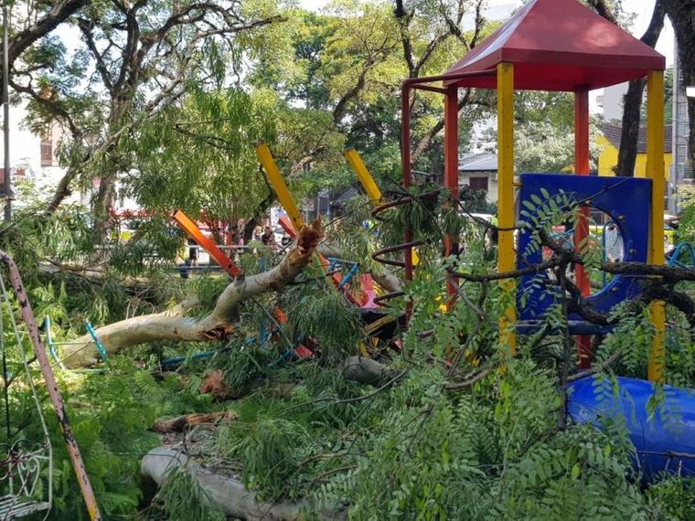 Por el accidente, cinco niños fueron internados