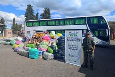 El micro viajaba desde Salta hacia Buenos Aires Foto: Argentina.gob.ar