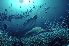 Reconstrucción del ecosistema pelágico y de los organismos fosilizados en Groenlandia. Foto: Dpa.