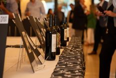 Foto ilustrativa Foto: Prensa Ciudad de Mendoza