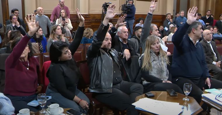 El peronismo logró 9 votos en la Comisión de Trabajo del Senado.