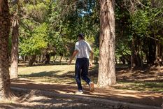 El buen tiempo se hará presenta en la provincia Foto: Santiago Tagua/MDZ