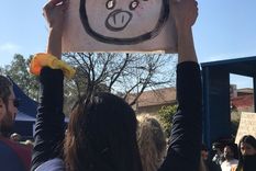 manifestacion en la embajada de china contra el acuerdo porcino: esta basado en el sacrificio de seres sintientes