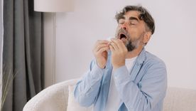Las plantas inocuas para los alérgicos. Foto: Fuente: Shutterstock