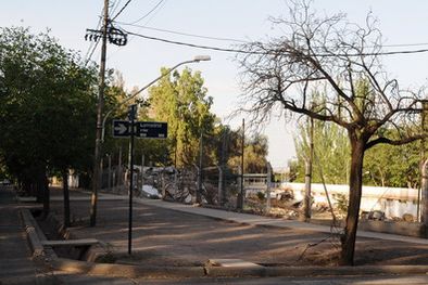 MDZol | Los edificios altos, ¿se vienen en la Quinta? Foto: Alf Ponce/MDZ