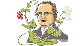 Mendel reveló las leyes estadísticas de la herencia y postuló la existencia de una unidad de la herencia que ahora se llama gen. Foto: SCIENCE PHOTO LIBRARY