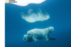 Foto: nationalgeographic.com