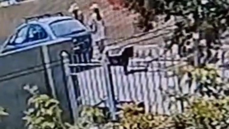 El robo de las mochilas que contenían hasta la historia clínica del bebé. Foto: captura de video.