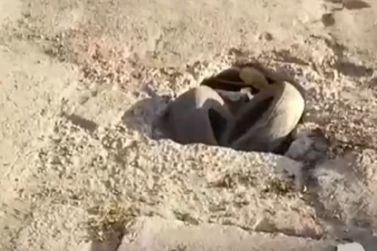 Un video evidencia el grave deterioro de las calles en Mendoza. &nbsp;