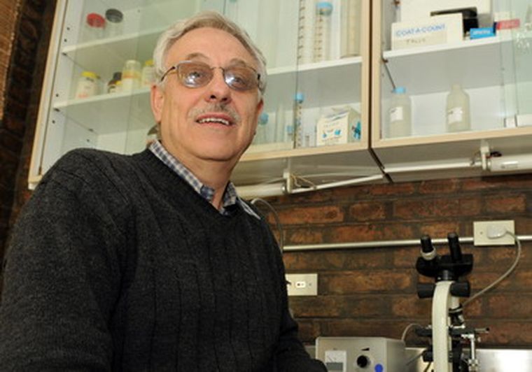 Foto: Nacho Gaffuri / MDZ