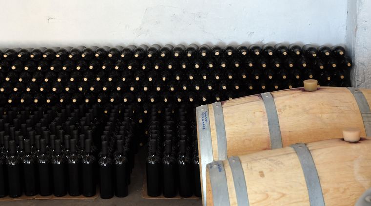 Barricas de roble Foto: ALF PONCE MERCADO / MDZ