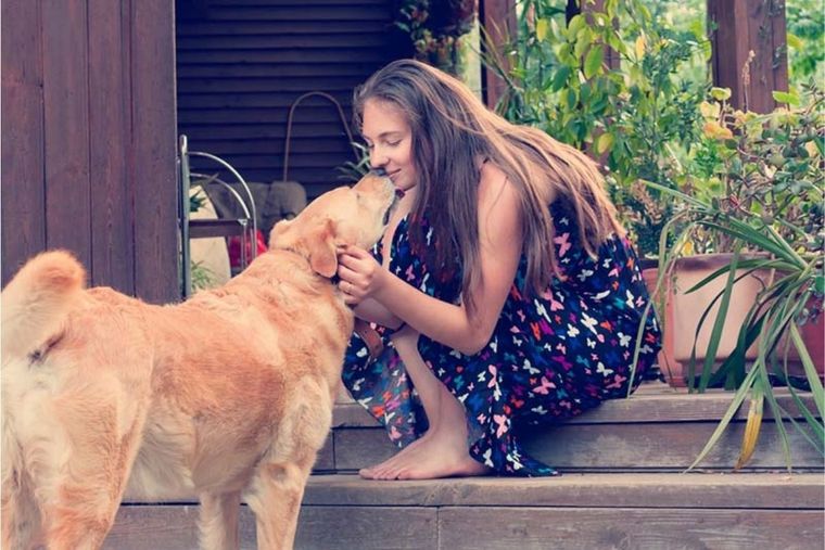 PERROS RAZAS DE PERROS MÁS AMIGABLES CON LAS PERSONAS Foto: perros