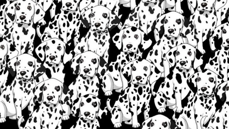 ACERTIJO VISUAL ACERTIJO VISUAL, RETO VISUAL, PERRO Foto: ARCHIVO