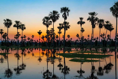 Este magnífico lugar está ubicado en el norte argentino, puntualmente en la provincia de Formosa.