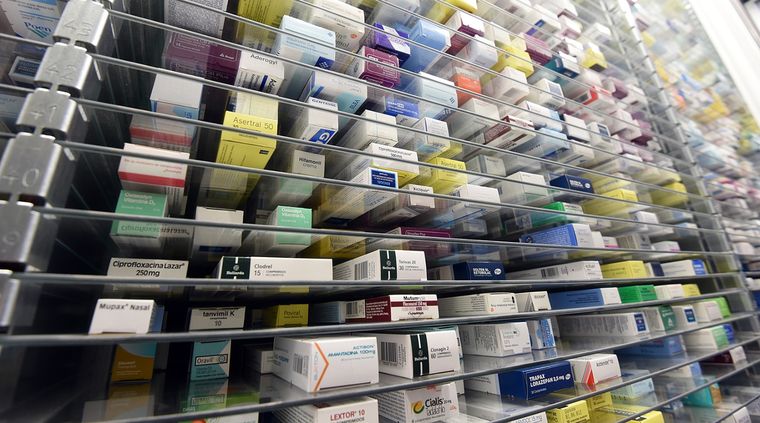 Foto: ALF PONCE / MDZ