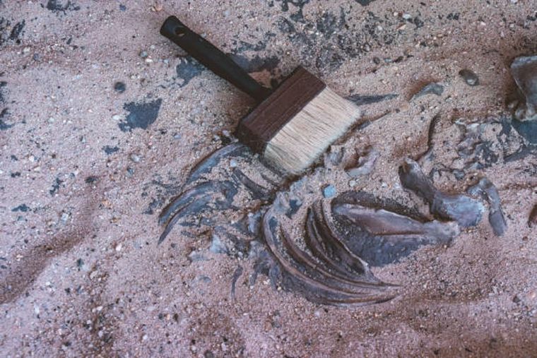 El hallazgo arqueológico descubierto bajo la tierra en un edificio en construcción en Godoy Cruz está siendo investigado. Foto: Imagen ilustrativa