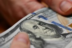 Fuertes críticas al nuevo dólar agro Foto: Shutterstock