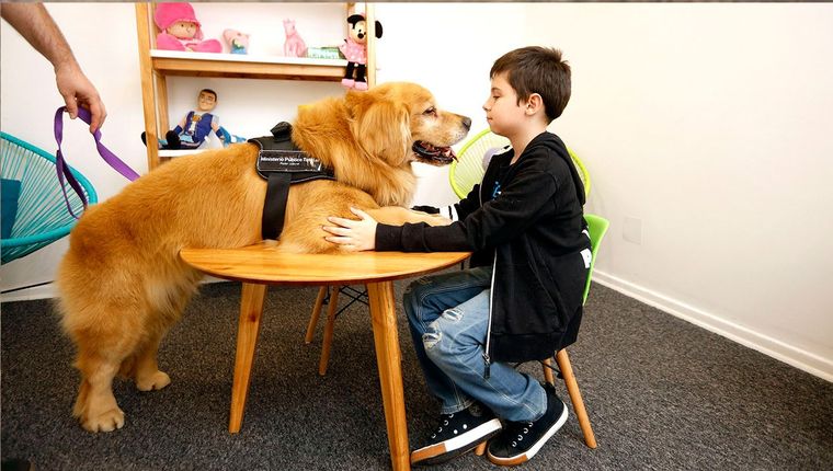 Hablar con las mascotas amplía las  habilidades emocionales Foto: The Bubble