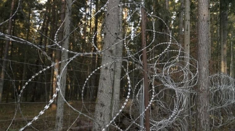 Los migrantes usan escaleras y tenazas para poder cruzar la alambrada instalada por Polonia en 2022. Foto: Jack Garland, BBC News