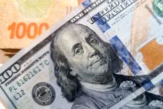 Hay expectativas con lo que pueda pasar el 11 de diciembre con el dólar Foto: Walter Moreno / MDZ. Foto realizada con Moto G72