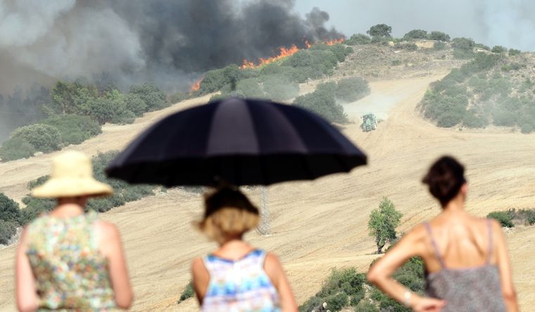Los incendios forestales asolan los continentes en verano. Foto: DPA
