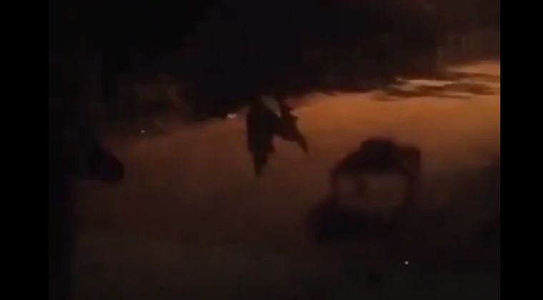 Vecinos aseguran que el lobizón apareció por sus casas durante el Viernes Santo Foto: Captura Video