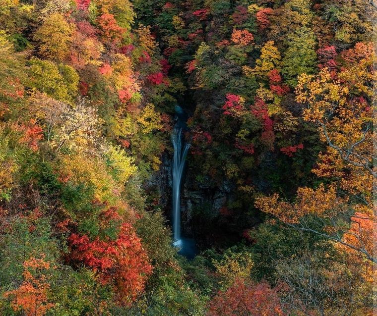 Foto: @a_shimizu_photo