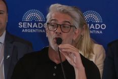 Pablo Echarri en la comisión del Senado.