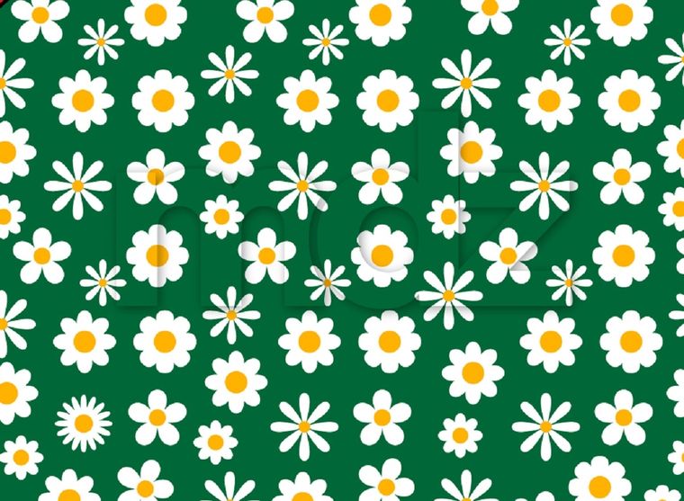 El acertijo visual de la flor diferente parece imposible de resolver en 10 segundos Foto: Archivo MDZ